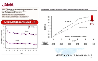 澳码精准100%一肖一码最准肖,澳码精准100%一肖一码最准肖，探索精准预测的魅力与奥秘