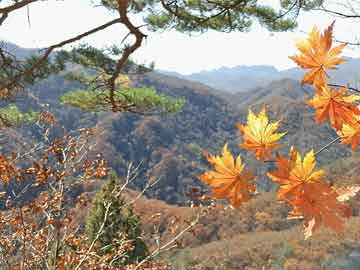 山丹杀人最新新闻,山丹杀人案最新进展报道