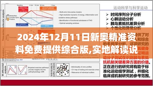 2024年12月24日 第19页