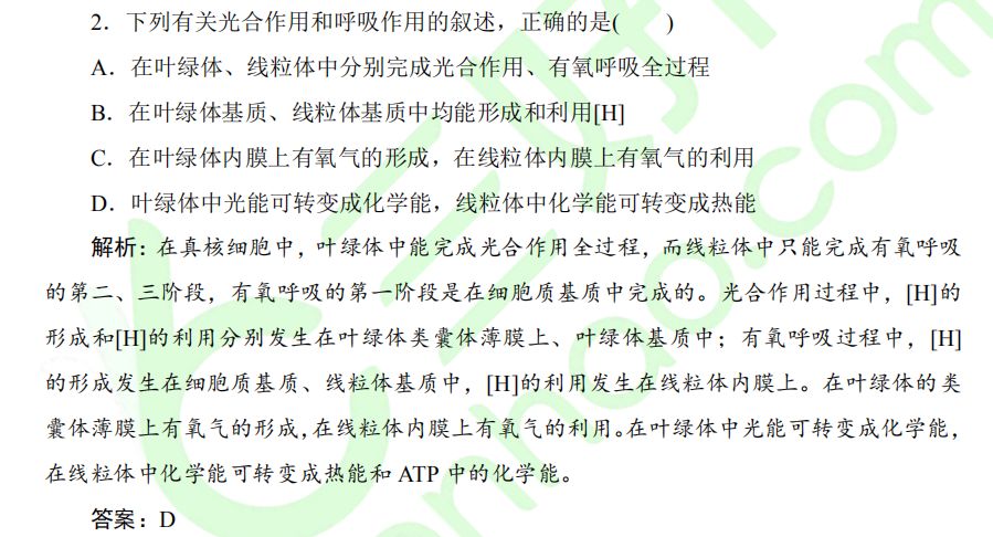 新澳门资料大全正版资料2023,澳门新资料大全正版资料的重要性及其影响（2023年分析）