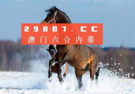 2023澳门正版全年免费资料,澳门正版全年免费资料，探索与期待