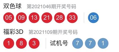 2025新年澳门天天彩免费大全049期 02-04-09-25-28-45R：48,探索澳门天天彩，新年新希望，2025年第049期彩票解析与期待